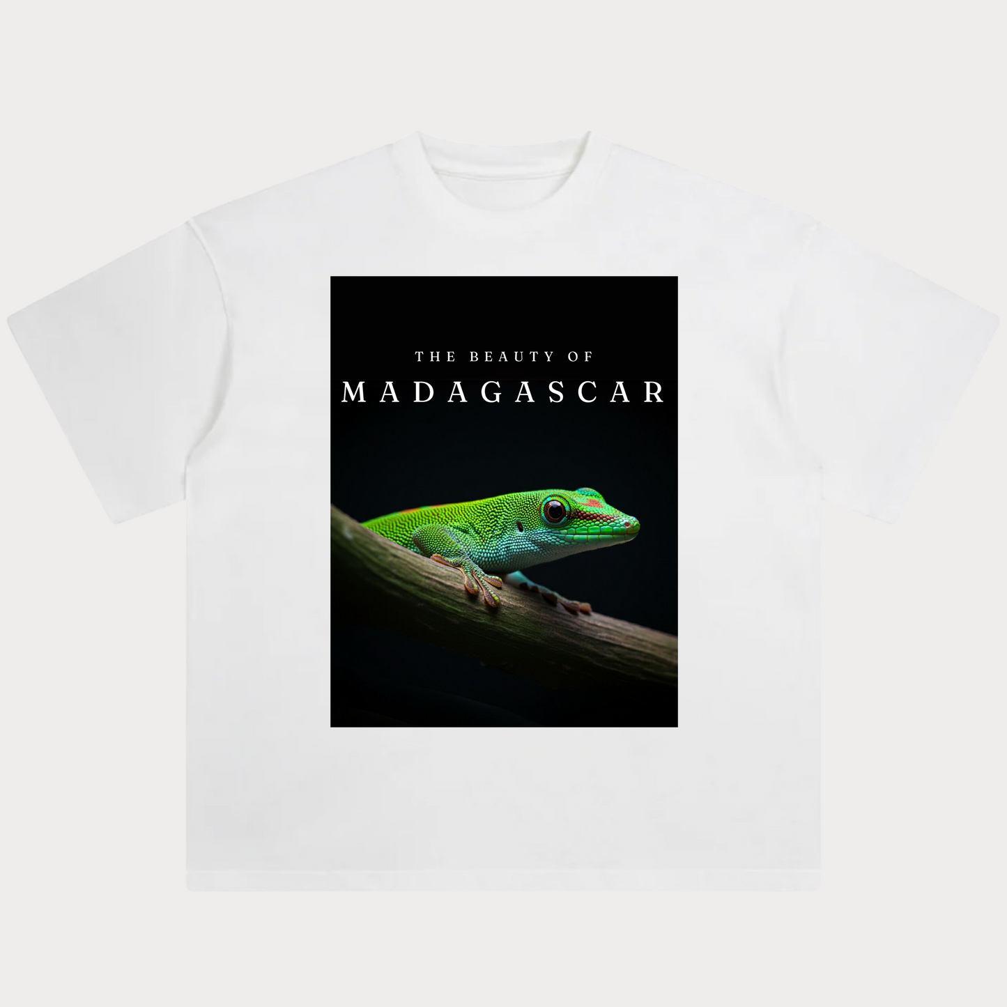 The Beauty of Madagascar