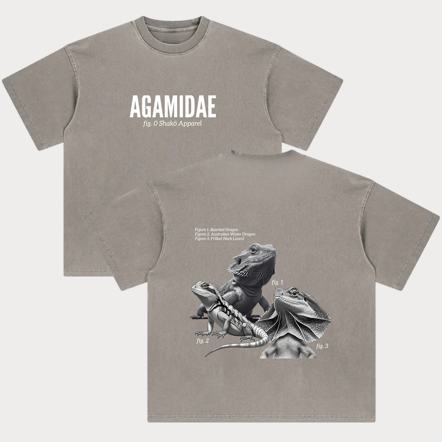 Agamidae