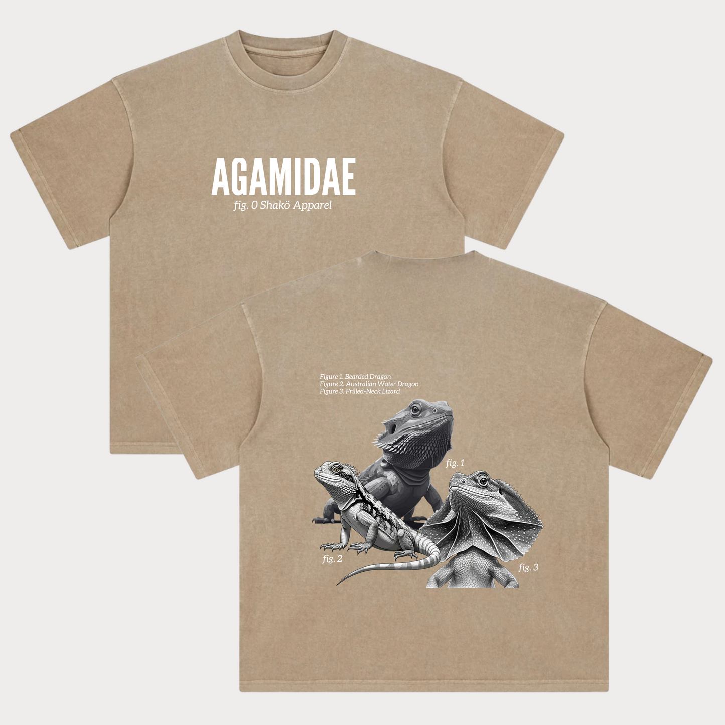 Agamidae