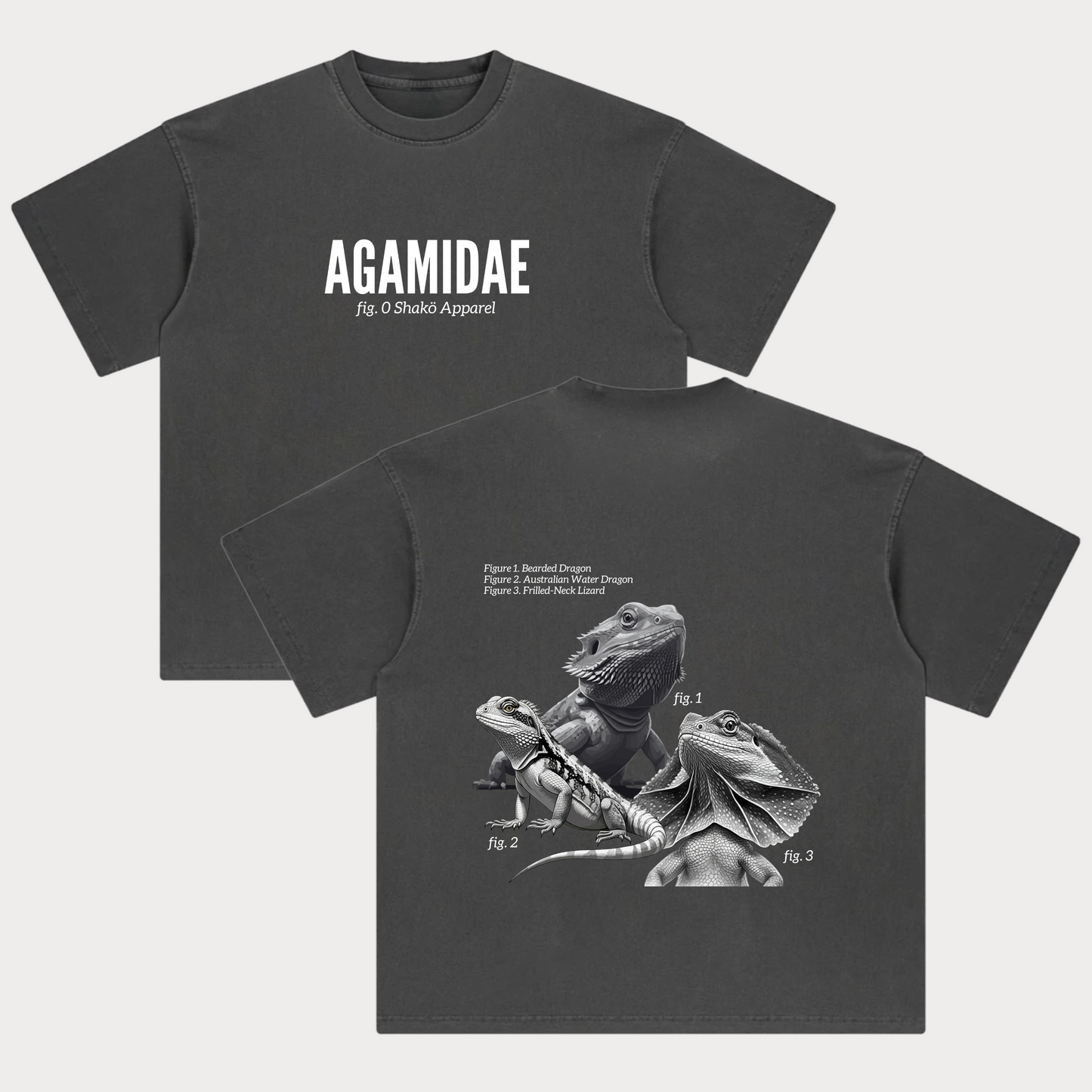 Agamidae