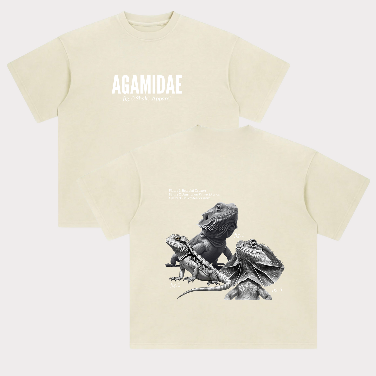 Agamidae