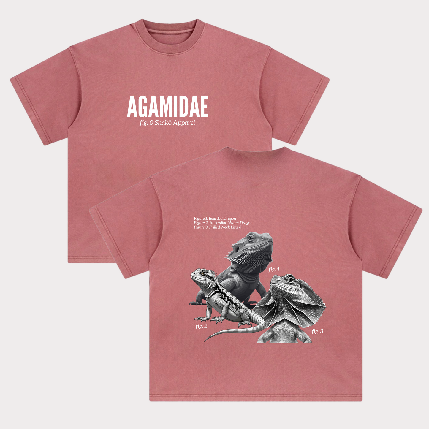 Agamidae