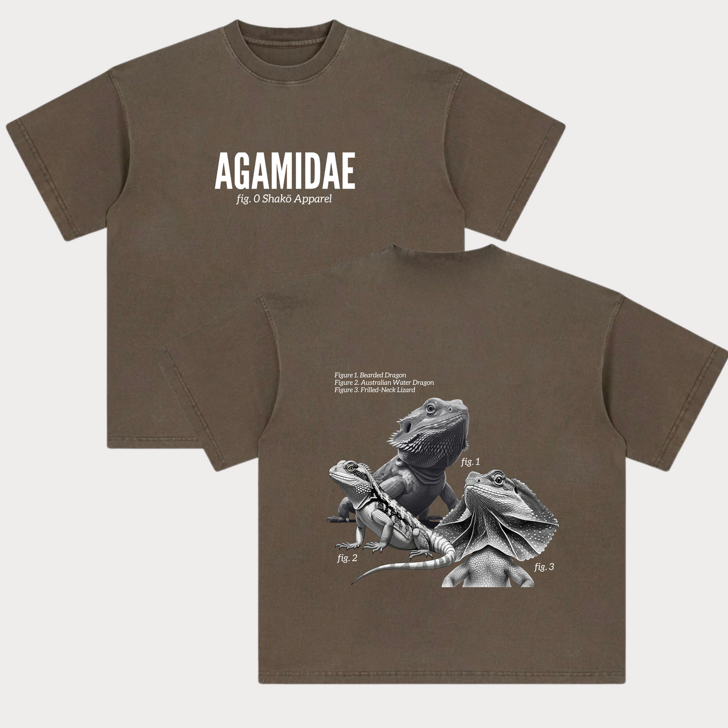 Agamidae