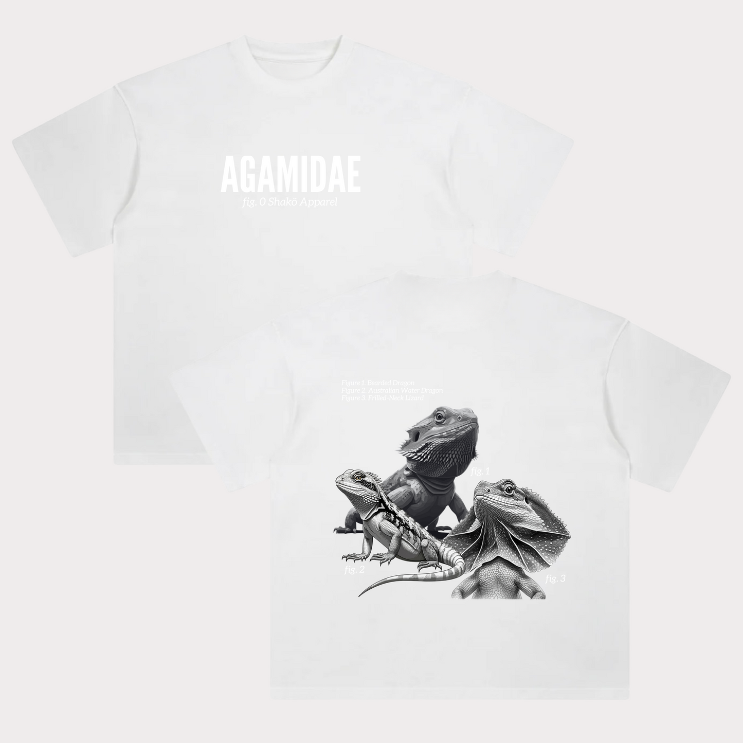 Agamidae