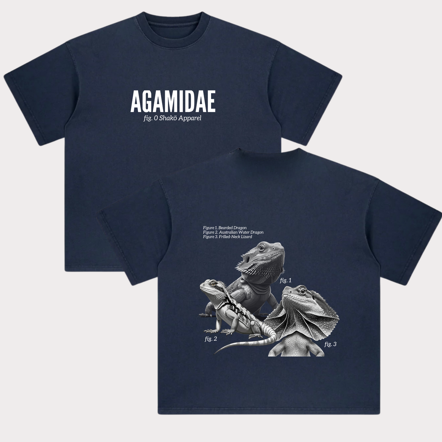 Agamidae